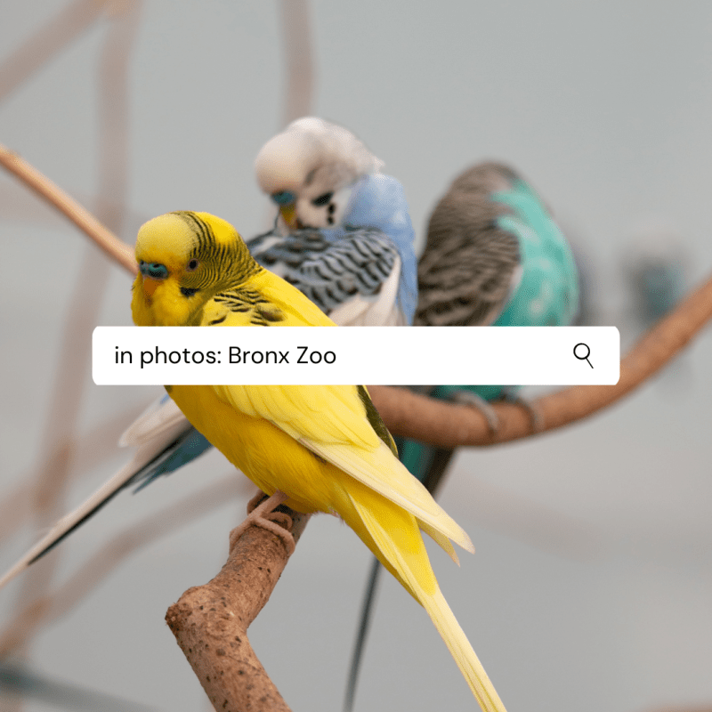 In Photos: Bronx&nbsp;Zoo